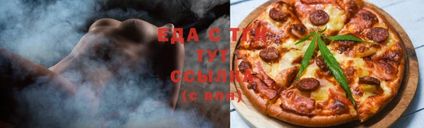 прущий лед Алзамай
