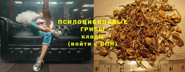 ПСИЛОЦИБИНОВЫЕ ГРИБЫ Алексин
